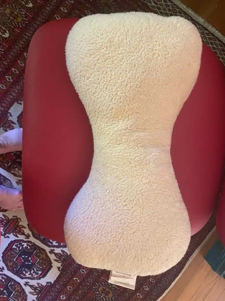 Photo of free Pillow/Pet Toy (San Anselmo, near the "hub") #1