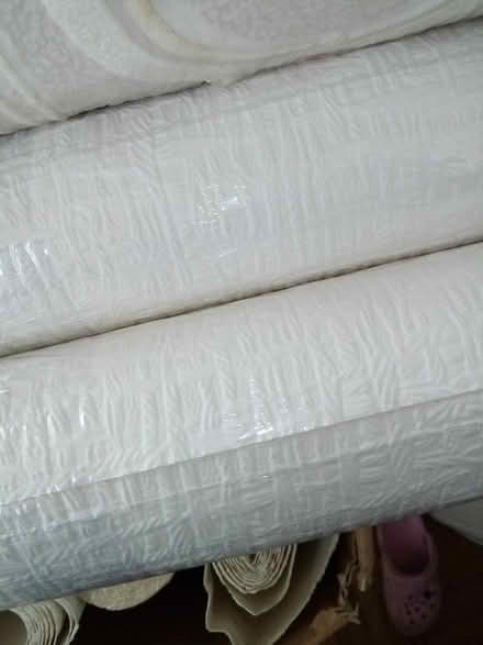 Photo of free box of wallpaper (Wylde Green B72) #2