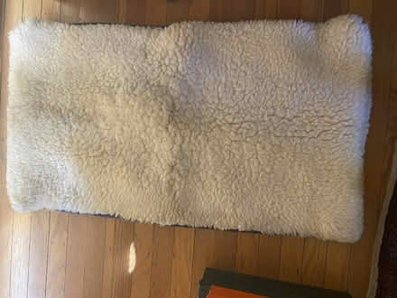 Photo of free Dog/Pet Mat (San Anselmo, near the "hub") #1