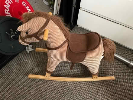 Photo of free Rocking horse (Mansfield NG19) #2