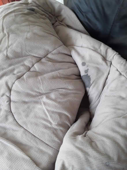 Photo of free sleeping bag (Wynford) #2