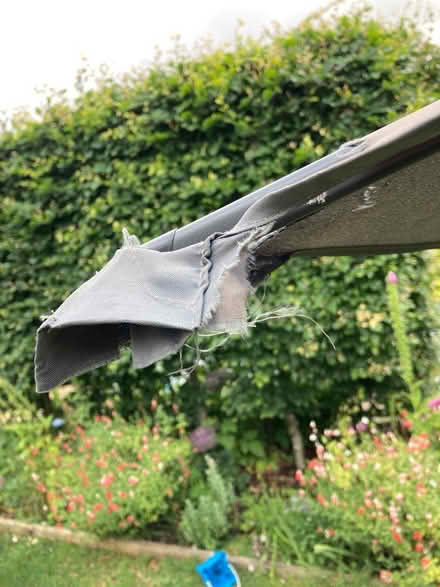 Photo of free 2m patio umbrella parasol sun shade (Chantry, Frome BA11) #2