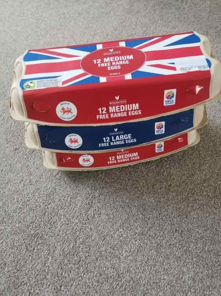 Photo of free 3 empty egg boxes (SO19) #1