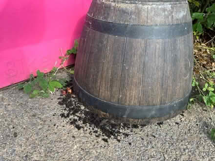 Photo of free Large garden barrel plant pot (Chalkwell SS0) #1
