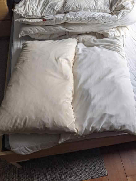 Photo of free IKEA double duvet and 2 X pillows (E9) #4