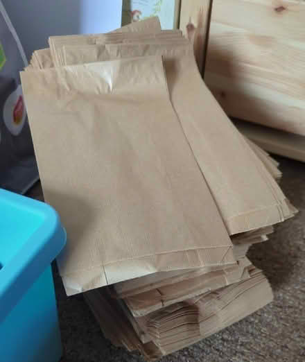 Photo of free Brown Paper Bags (Presteigne LD8) #1