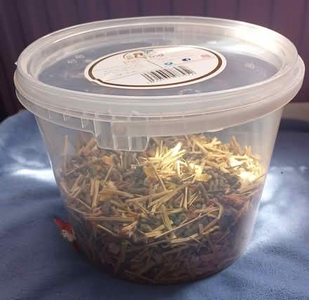 Photo of free chinchilla food (IP27) #1