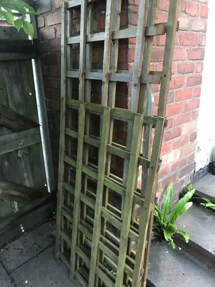 Photo of free Garden trellis (Northfield B31) #1