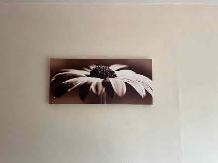Photo of free Poster frame (Woodlands TW7) #1
