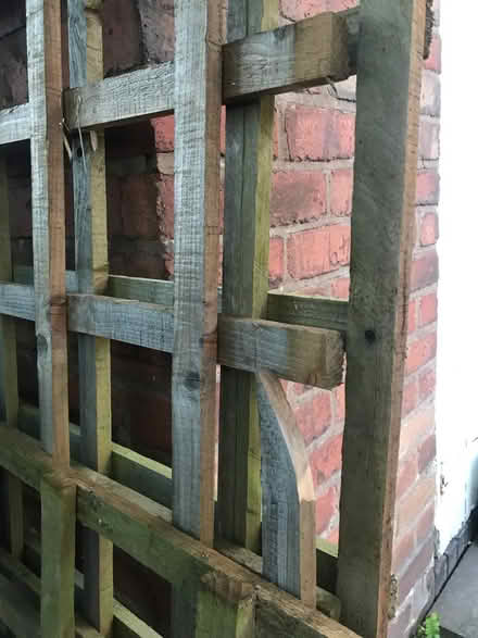 Photo of free Garden trellis (Northfield B31) #2