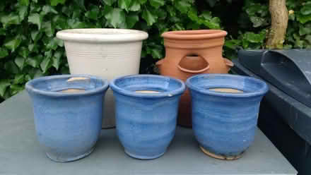 Photo of free Five Plant Pots (Callow End WR2) #1
