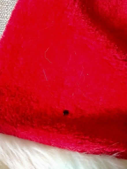 Photo of free 2 Santa hats (Clayton Brook PR5) #1