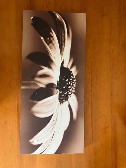 Photo of free Poster frame (Woodlands TW7) #2
