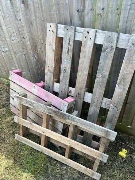 Photo of free 3 pallets (CR4) #1