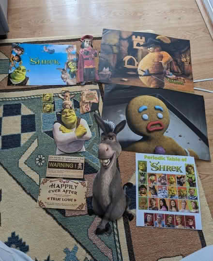 Photo of free Shrek decorations/prints/posters (Haringey N15) #4