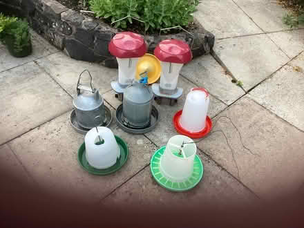 Photo of free Chicken feeders (SY7) #2