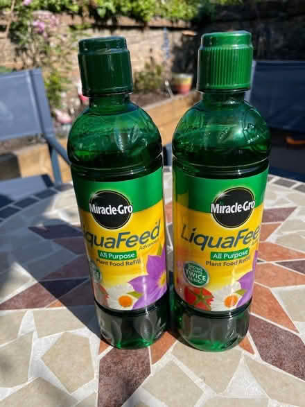 Photo of free Liquid Plant Food (Dorchester DT1) #1