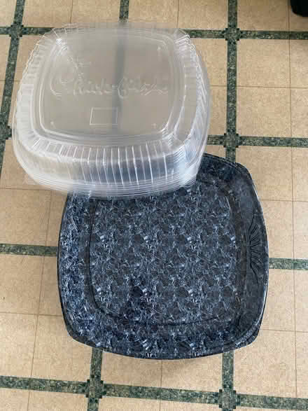 Photo of free Large Party/Catering Trays (Maple Glen) #1