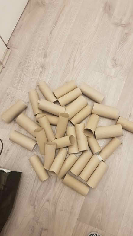 Photo of free Empty Toilet Rolls (Leyton E10) #1