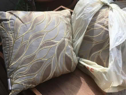 Photo of free Ornamental pillows (Mid town Toronto) #1