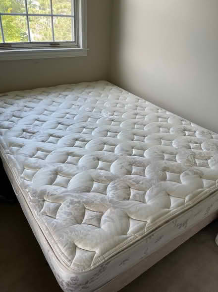 Photo of free Queen bed (Claremont Ontario) #1