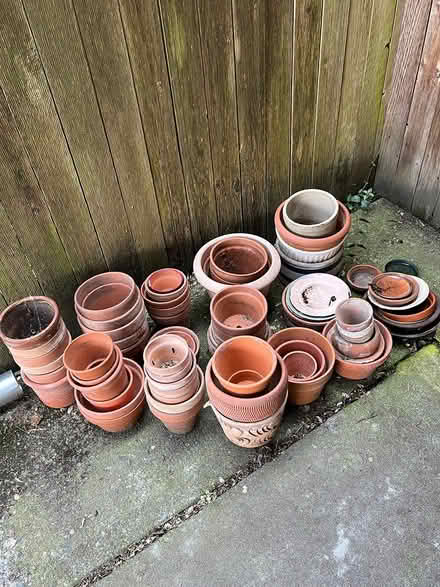 Photo of free garden pots (Queen Anne) #1