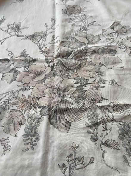Photo of free Cream curtains with bird & floral design (Bridgnorth WV15) #1