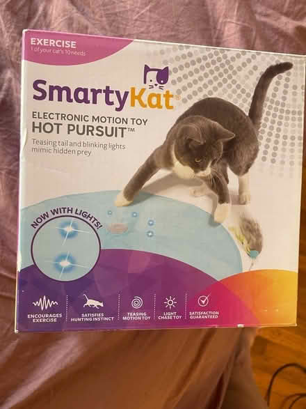 Photo of free Cat toy (Mission Dolores) #1
