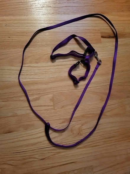 Photo of free cat harness and leash (Mt Carmel area, Redwood City) #1