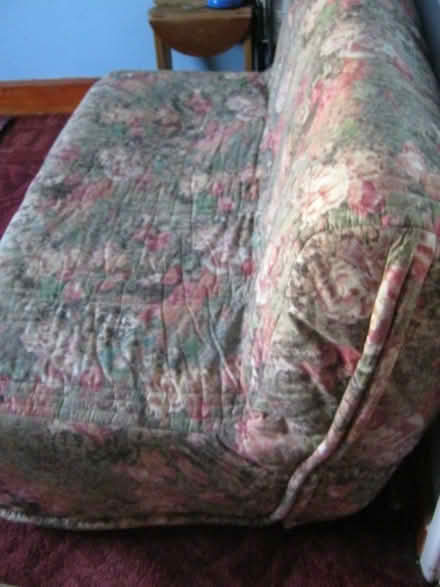 Photo of free double sofa bed (Donnington Bridge OX1) #4