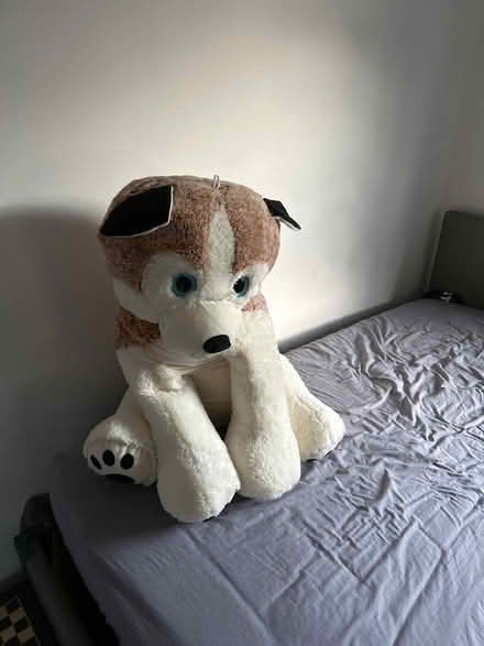 Photo of free Large soft dog toy (N11) #1