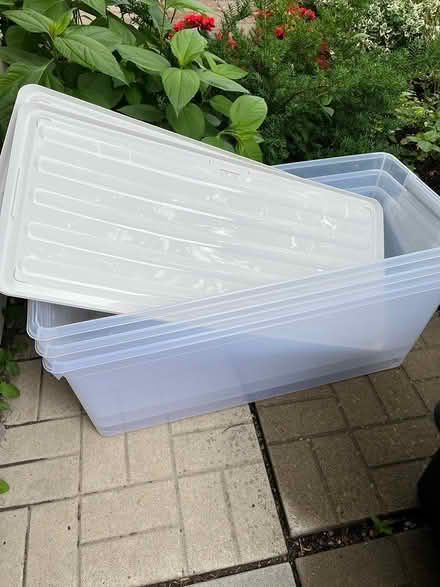 Photo of free Clear boxes (Third line and QEW) #1