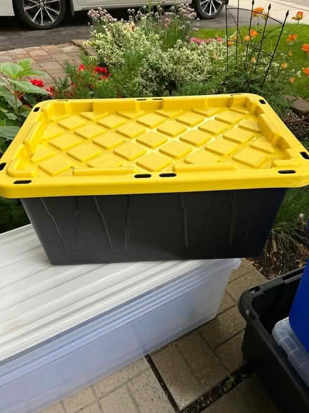 Photo of free Bins with lid (Third line and QEW) #1