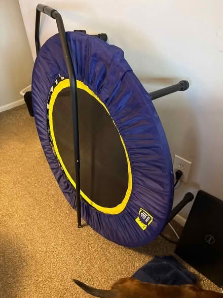 Photo of free Urban Rebounder w/handle (Pitman) #2