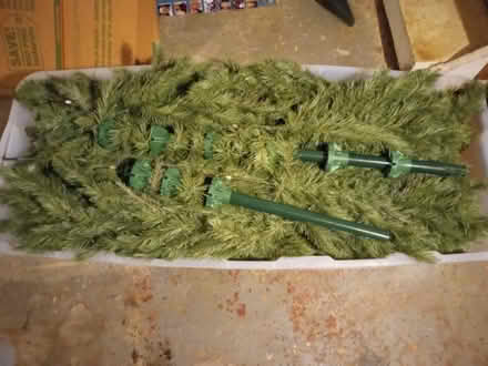 Photo of free Christmas Tree (Morningside) #1