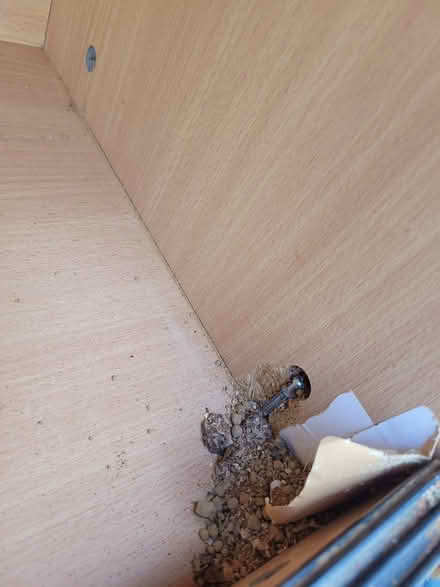 Photo of free Wood vivarium 4ft x1.5ft x1.5ft (Havelock road bognor regis) #2