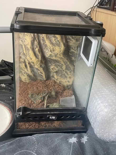 Photo of free Terrarium (Withington M14) #1