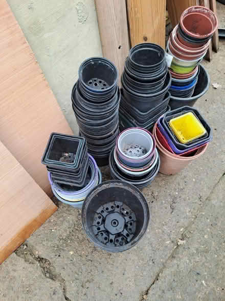 Photo of free Plant pots (Canterbury kent England) #1