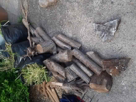 Photo of free Wood (CW2 crewe) #1