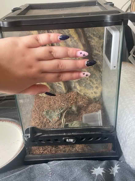 Photo of free Terrarium (Withington M14) #2