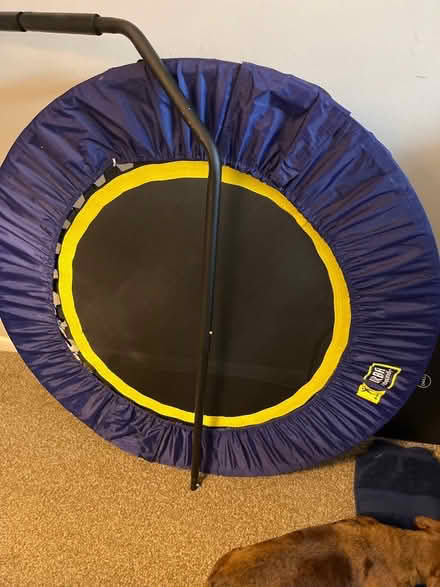 Photo of free Urban Rebounder w/handle (Pitman) #1