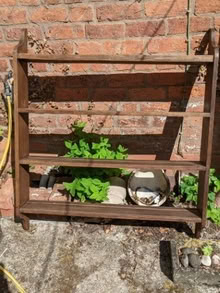Photo of free Oak shelves wall unit (Near Aston on Clun SY7) #2