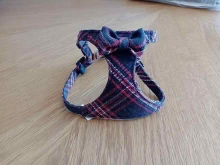 Photo of free Small Dog Harness (Park Drive TN34) #1