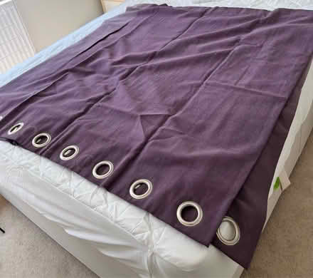Photo of free Purple Curtains (Bracknell RG12) #2