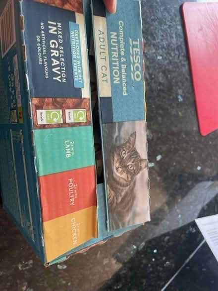 Photo of free Tesco Cat Food (Hove) #1