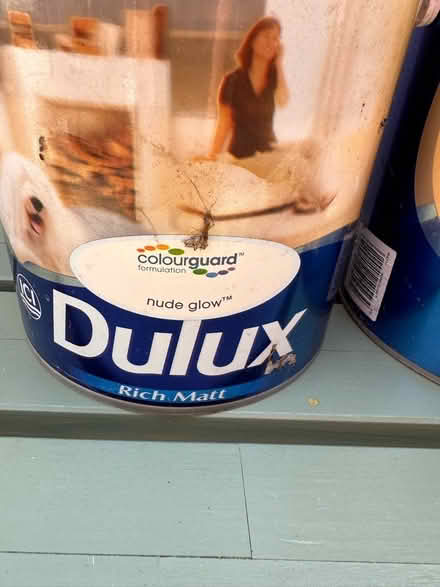 Photo of free Dulux Emulsion Paint (Shaldon) #1