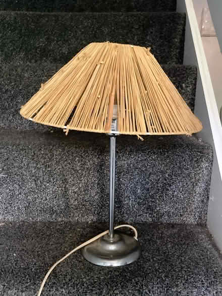 Photo of free Raffia Lamp (HX3) #1