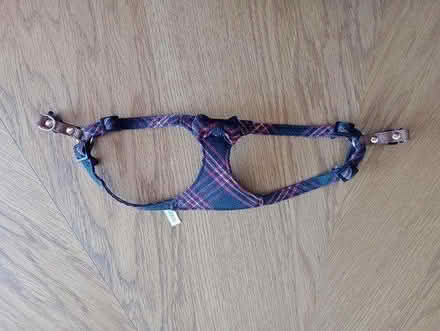 Photo of free Small Dog Harness (Park Drive TN34) #2