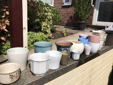 Photo of free Indoor plant holders (Bingley BD16) #1