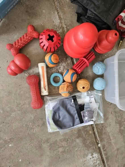 Photo of free Pup toys (Off S. Tyler Road, St Charles) #1